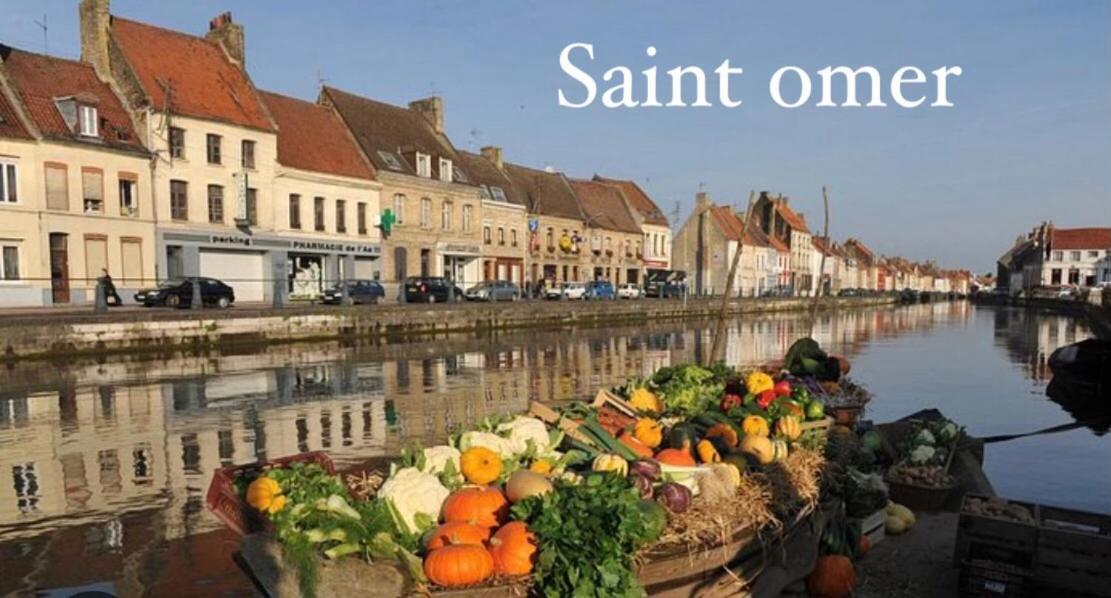 Le Clos Des Bambous Saint-Martin-Lez-Tatinghem Экстерьер фото